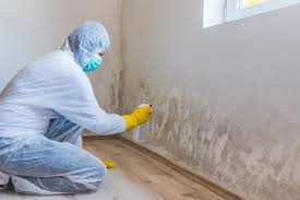 Mold Remediation for Vacation Homes in Belle Glade, FL